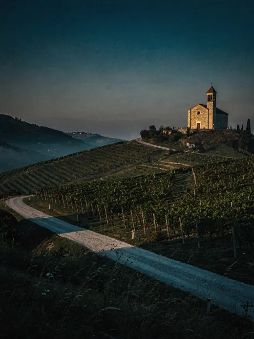 Landschaft der Region Conegliano & Valdobbiadene