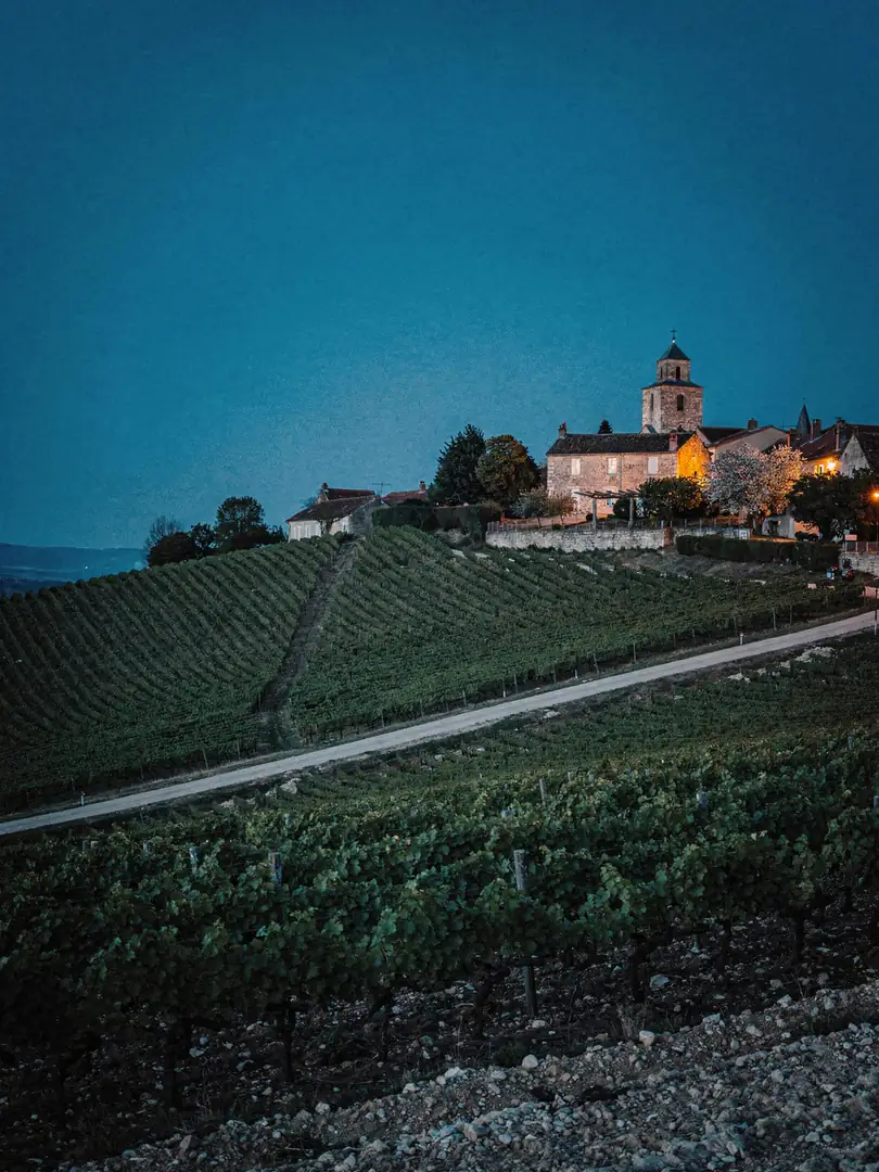 Landschaft der Region Côte des Bar (Aube)
