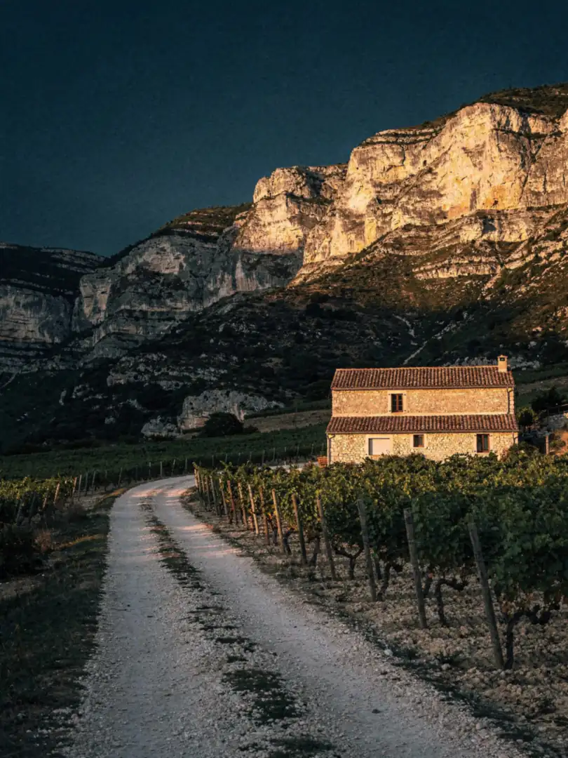 Landschaft der Region Die & Clairette de Die