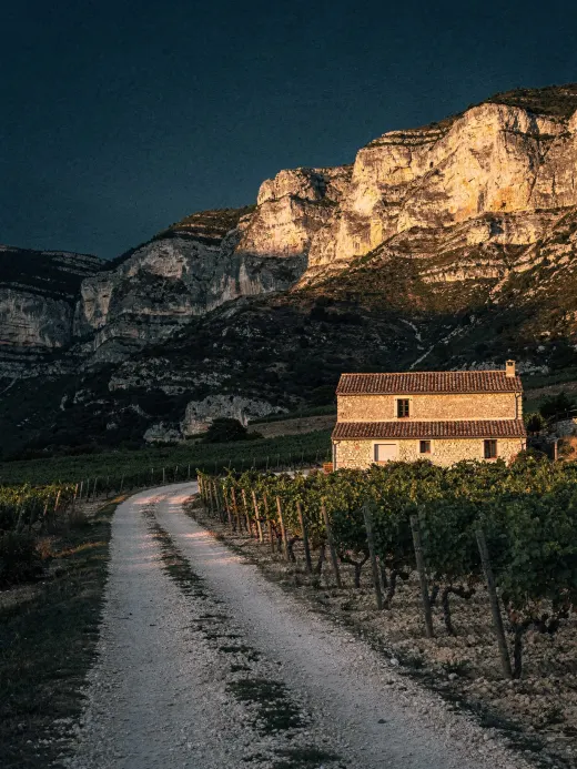 Landschaft der Region Die & Clairette de Die