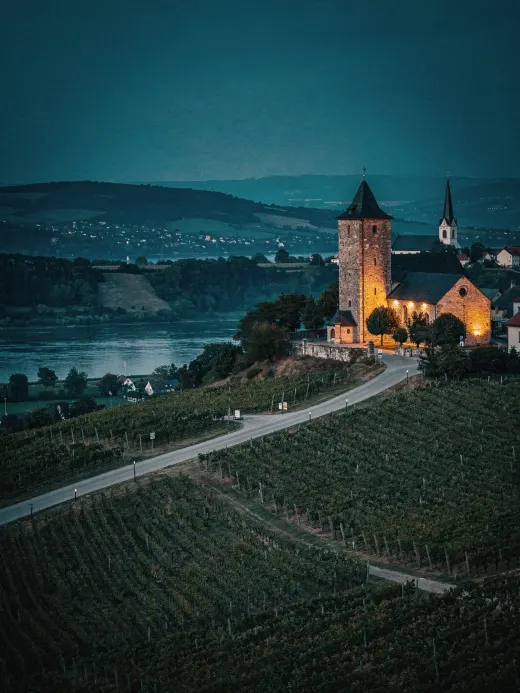 Landschaft der Region Eltville & Rheingau