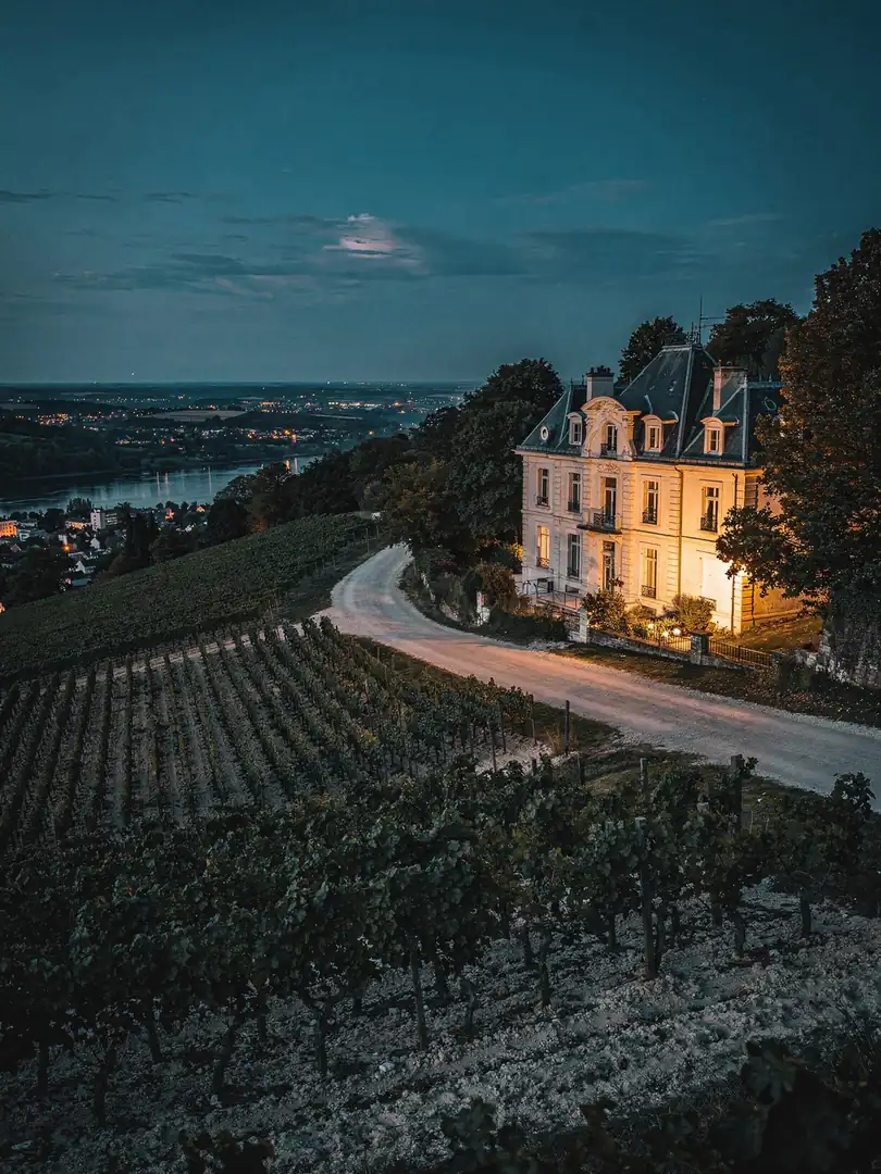 Landscape of the region Épernay & Avenue de Champagne