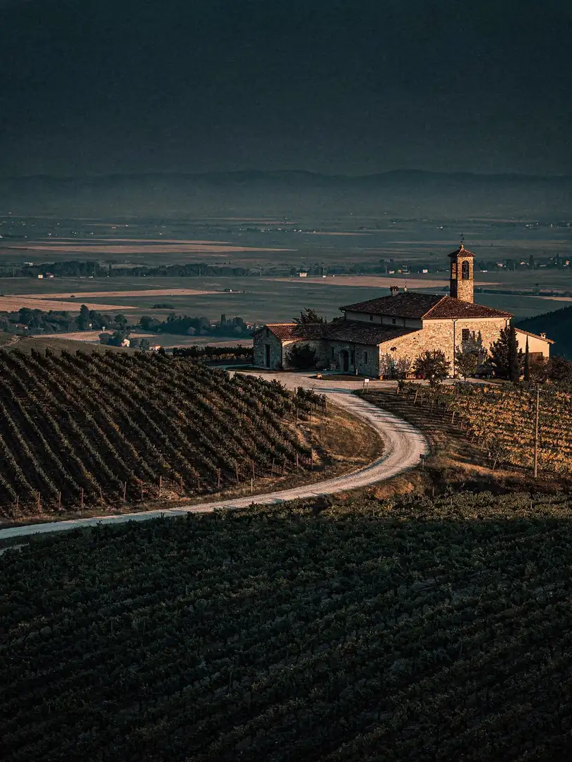 Landscape of the region Lambrusco