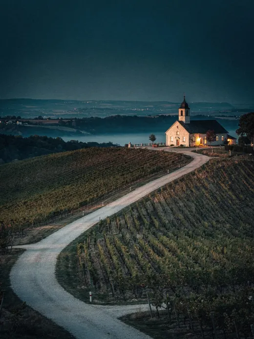 Landschaft der Region Mainz & Rheinhessen