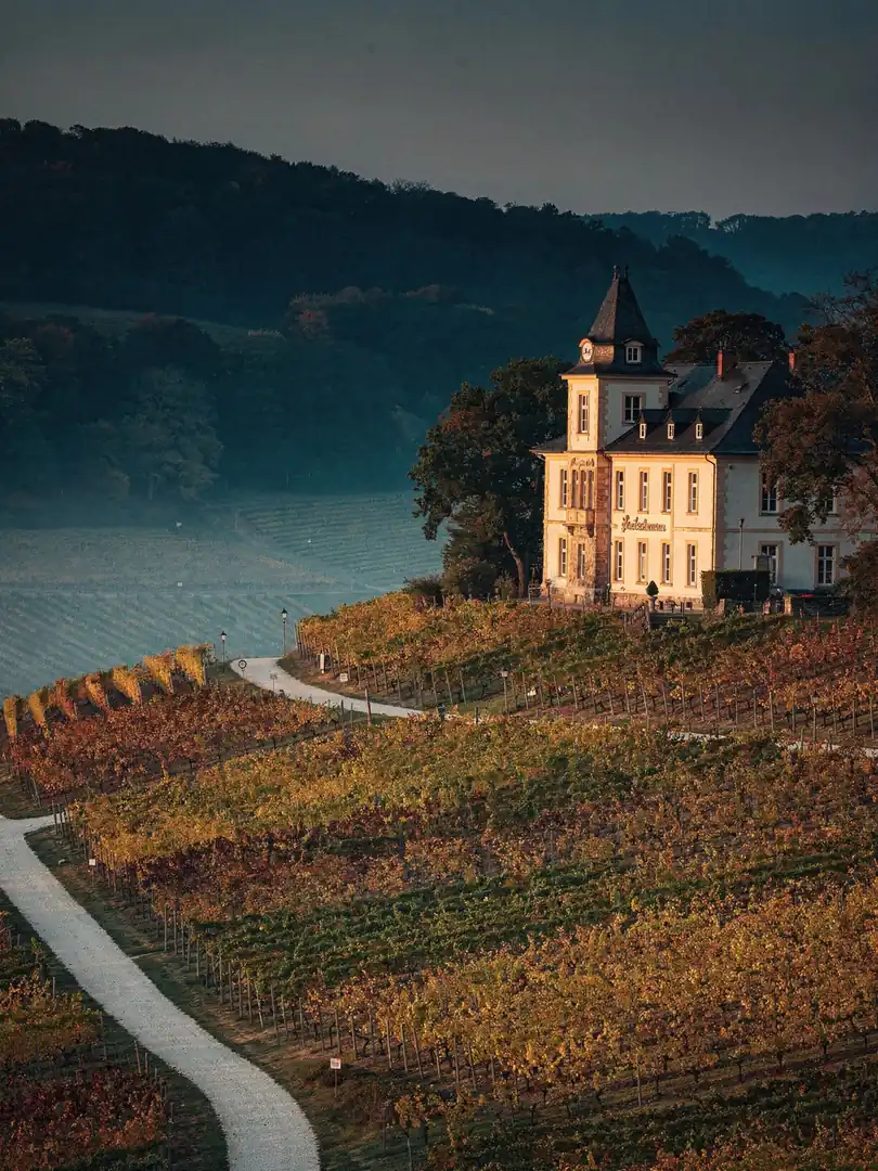 Landschaft der Region Pfalz