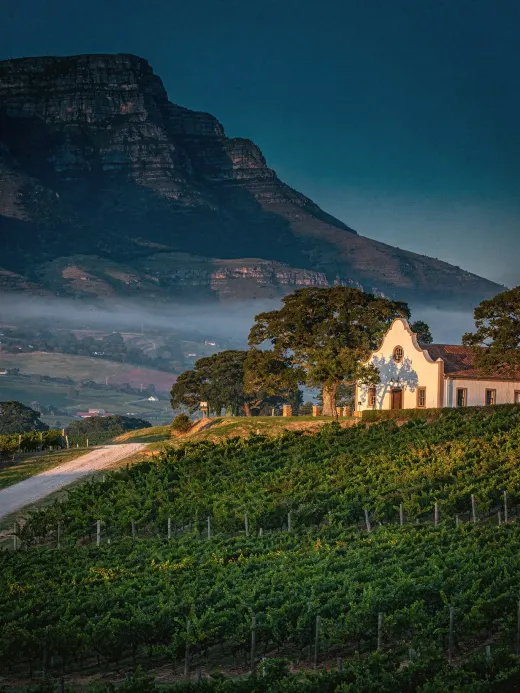 Landschaft der Region Stellenbosch & Robertson