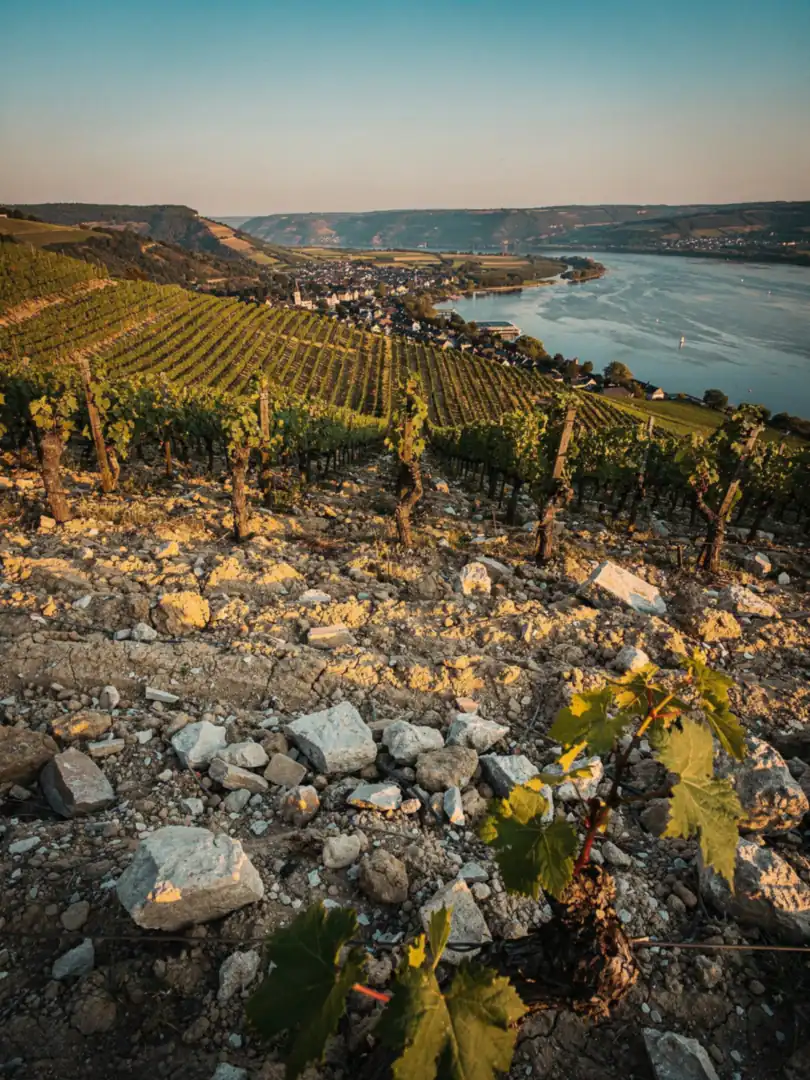 Soil & Climate in the region Luxembourg Moselle