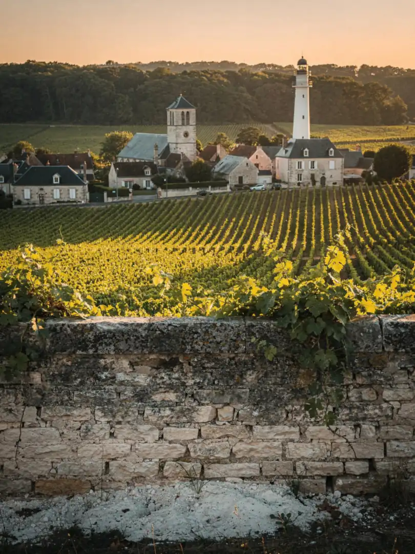 Region & History in the region Montagne de Reims
