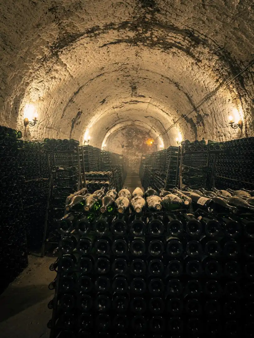 Lees Aging & Dosage in the region Montagne de Reims