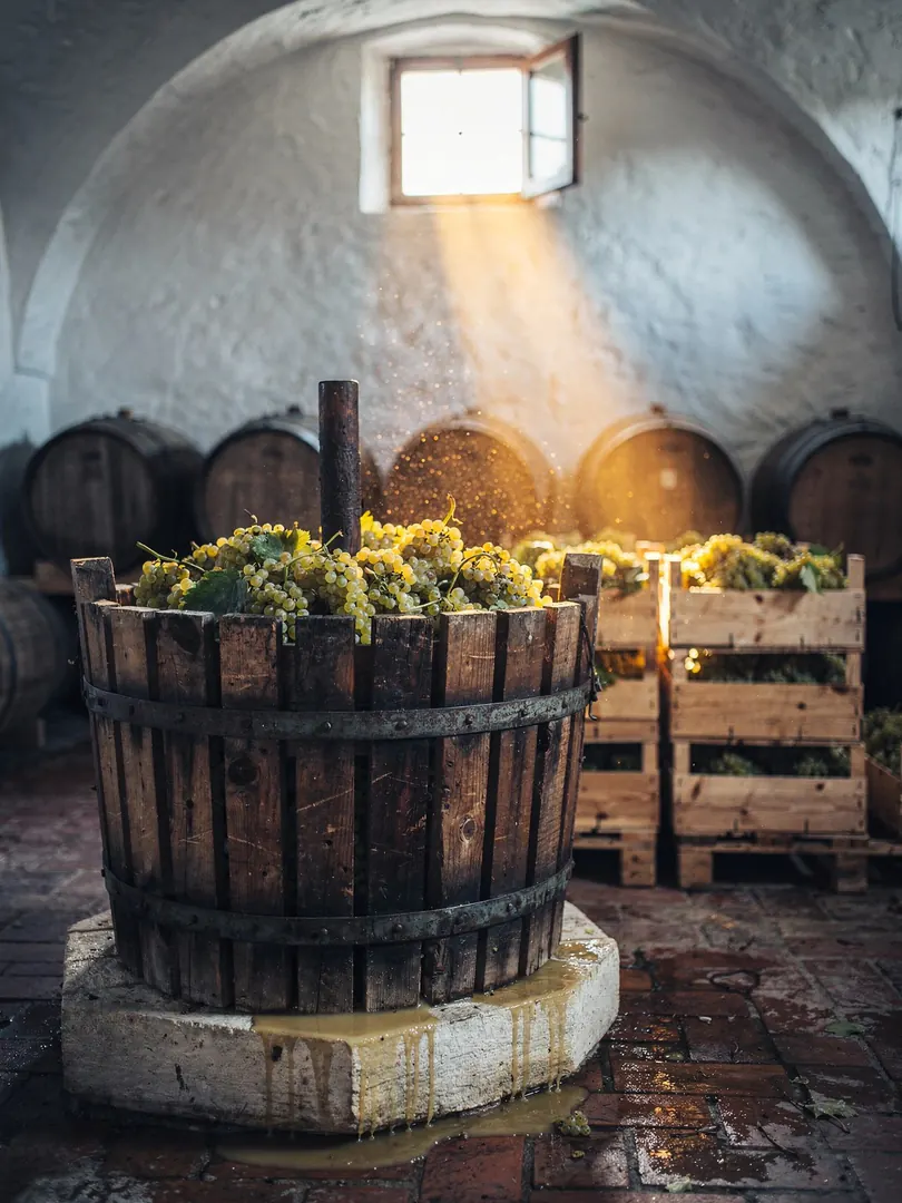 Base Wine & Blend in the region Lower Austria
