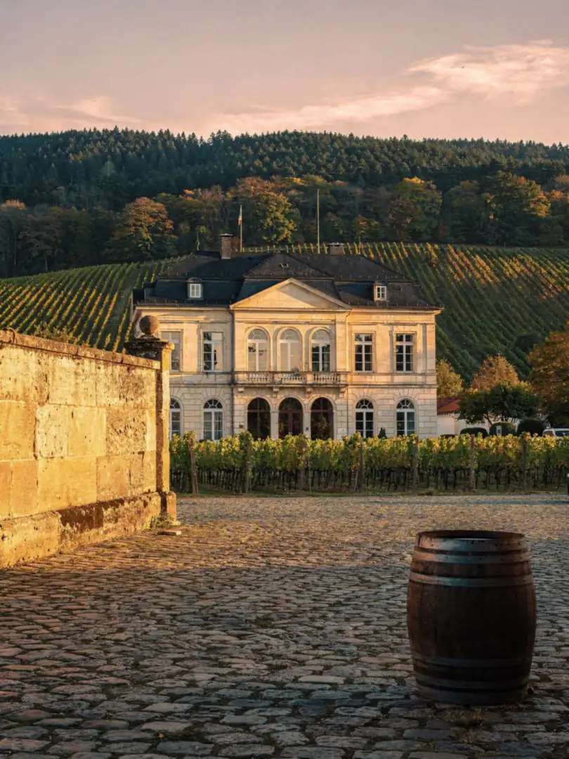 Region & Geschichte in der Region Pfalz