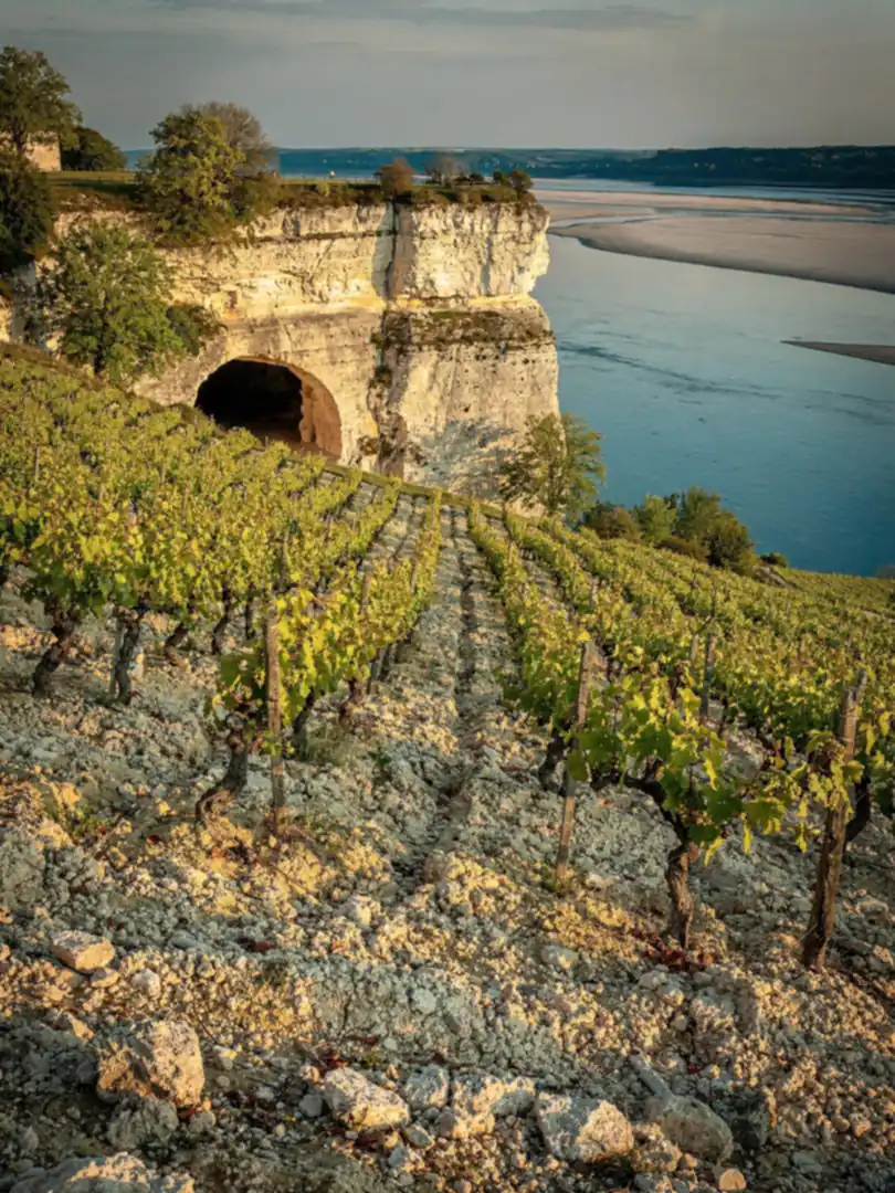 Boden & Klima in der Region Saumur & die Tuffkeller