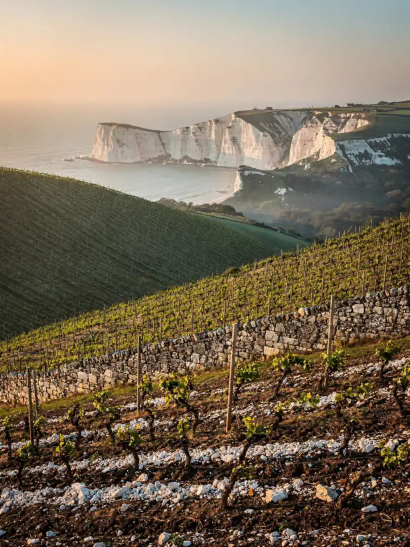 Soil & Climate in the region Sussex