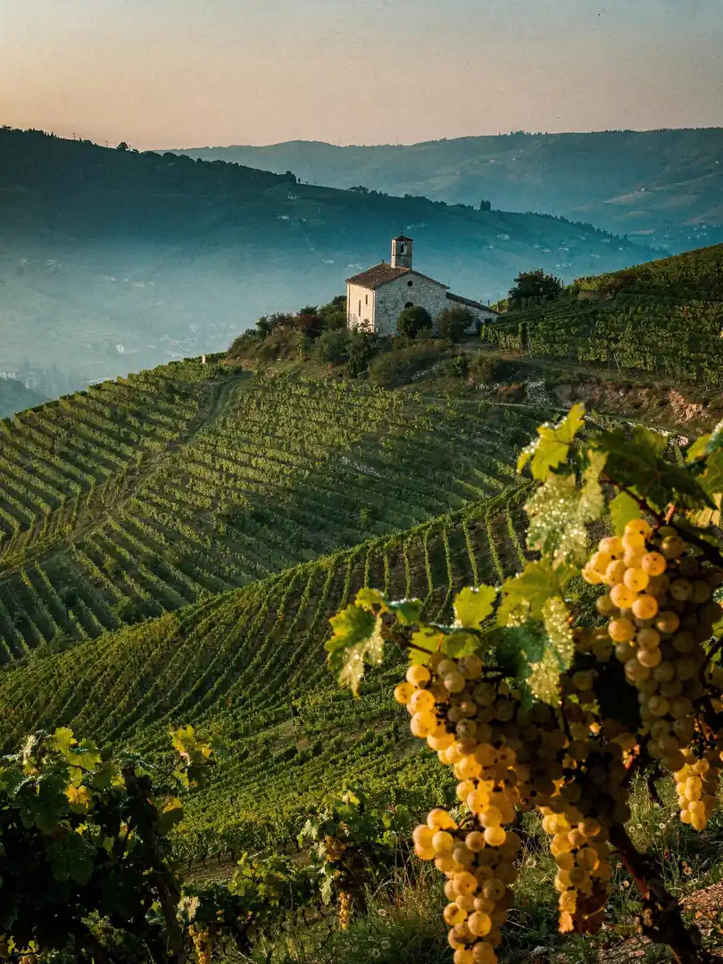 Wie Prosecco die Welt eroberte: von Conegliano zu 667 Millionen Flaschen