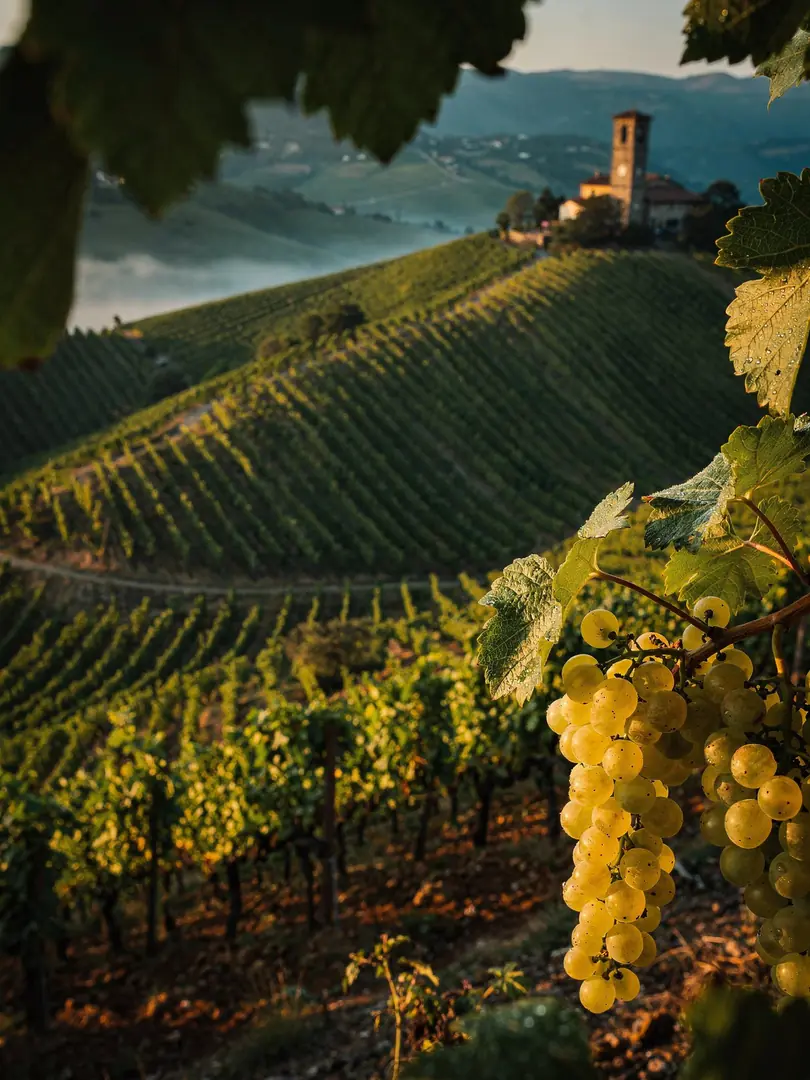 Prosecco oder Sekt: Was ist der Unterschied?