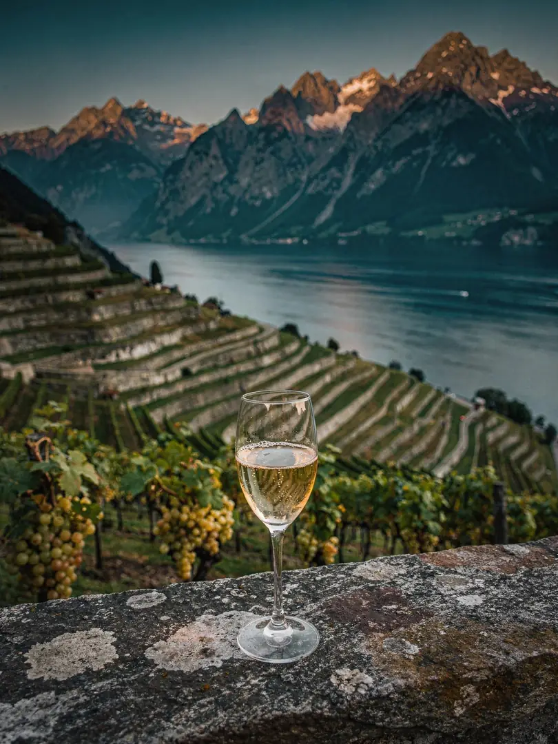 Franciacorta, Trentodoc, Alta Langa: Italiens Flaschengärer