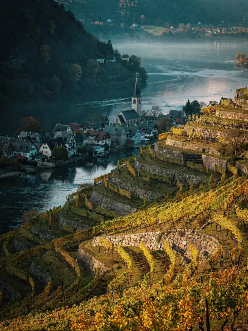 Where Does German Sekt Come From? Rheingau, Pfalz, Mosel, Saale-Unstrut