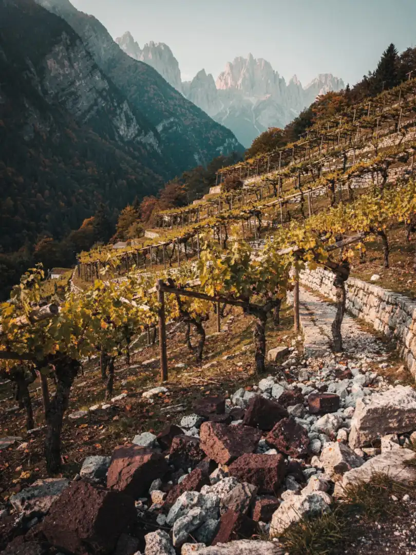 Boden & Klima in der Region Trento & Trentodoc