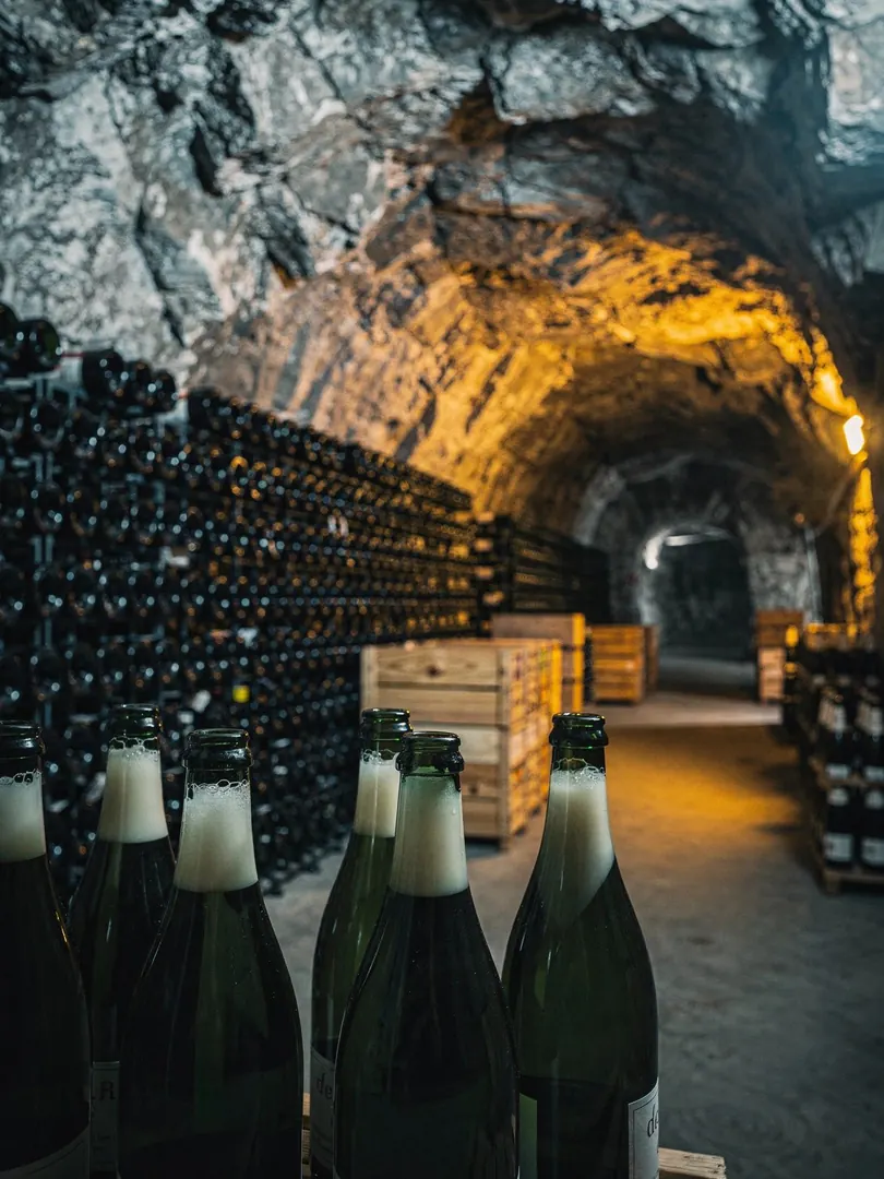 Lees Aging & Dosage in the region Trento & Trentodoc