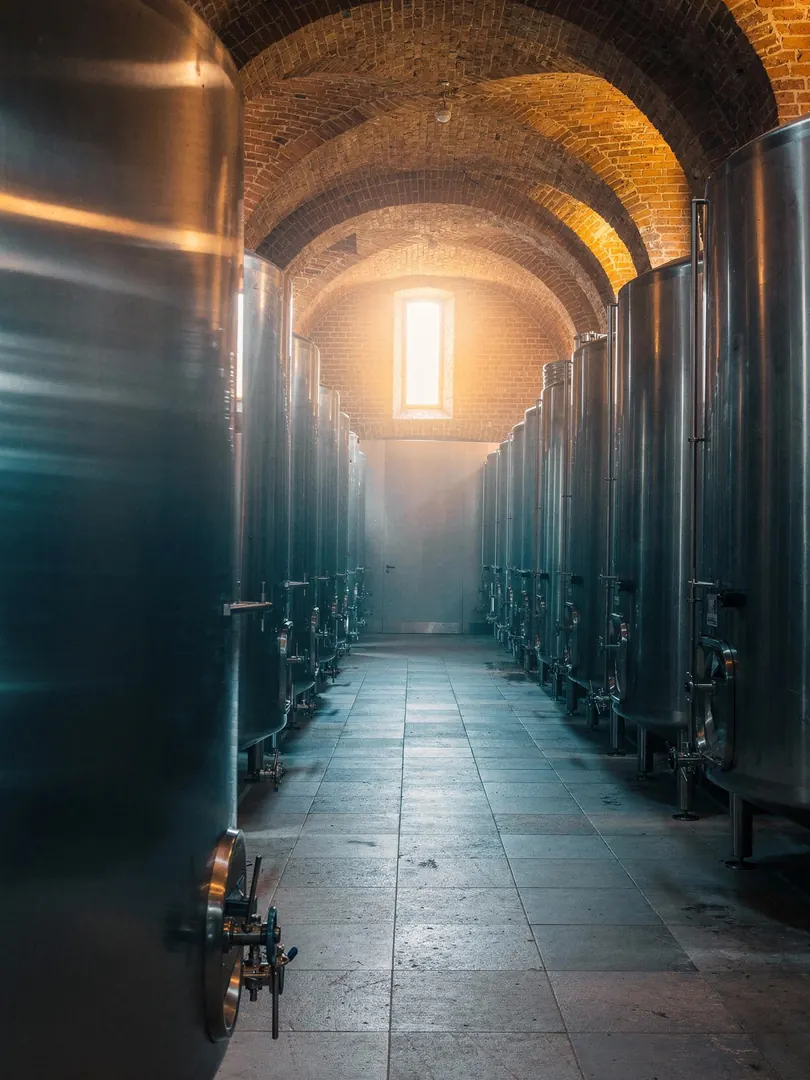 The Second Fermentation in the region Wiesbaden-Biebrich & Schierstein