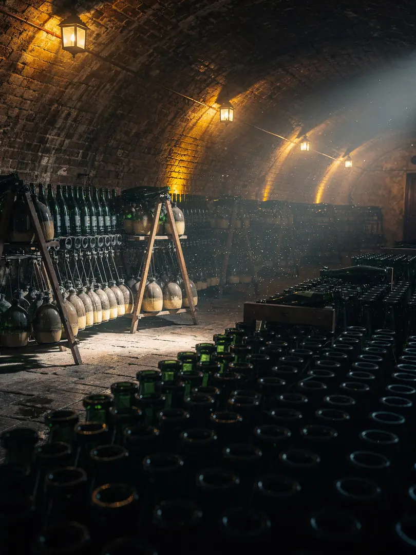 Lees Aging & Dosage in the region Wiesbaden-Biebrich & Schierstein