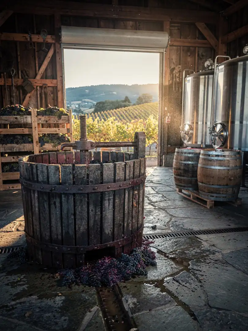 Grundwein & Cuvée in der Region Oregon & Willamette Valley