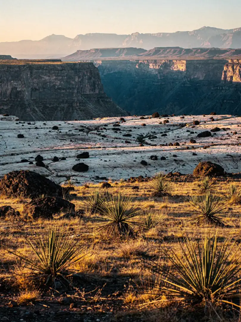 Altitude & Climate in the region Chihuahua
