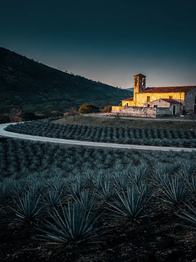 Landschaft der Region Guanajuato
