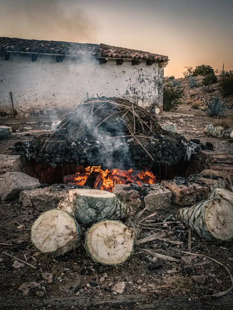 Kochen & Mahlen in der Region San Luis Potosí