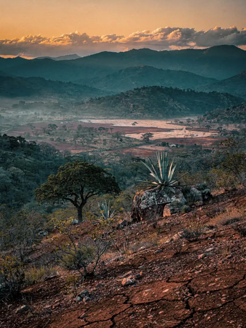 Höhe & Klima in der Region Sierra Sur de Oaxaca