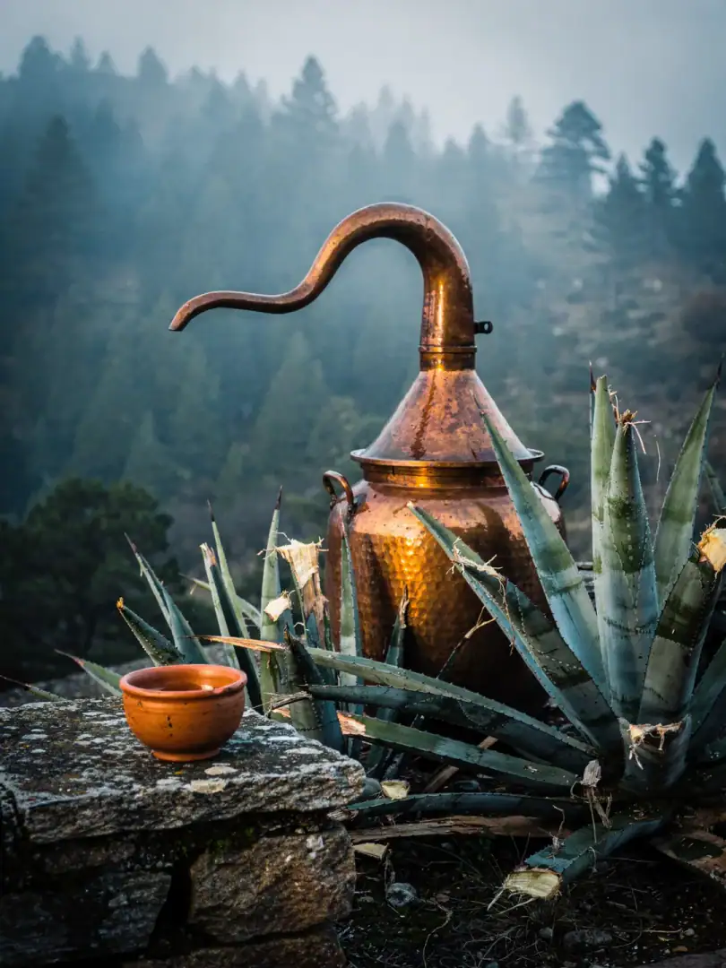 Raicilla: The Mountain Spirit From Jalisco