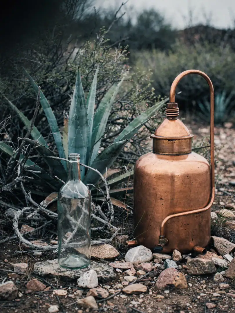Destilado de Agave: der freiwillige Verzicht