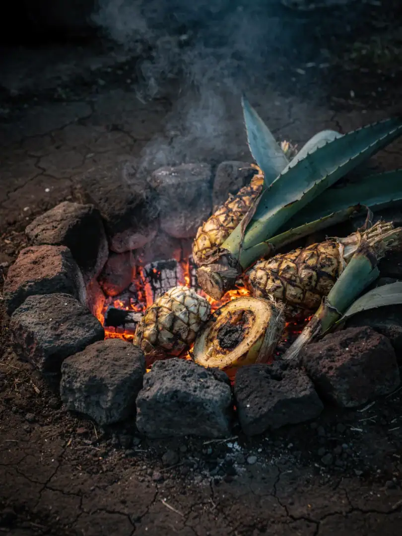 The earthen pit: where Mezcal's smoke comes from