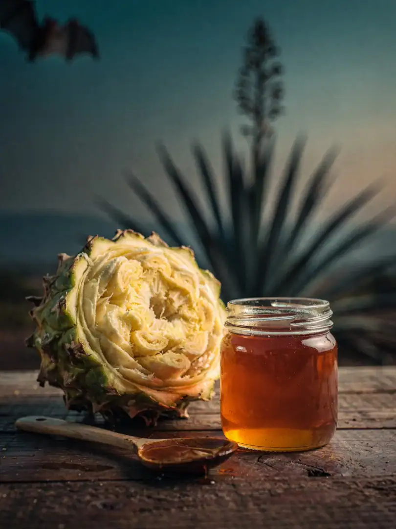 „Agavensirup ist gesund, Agave gibt es genug“