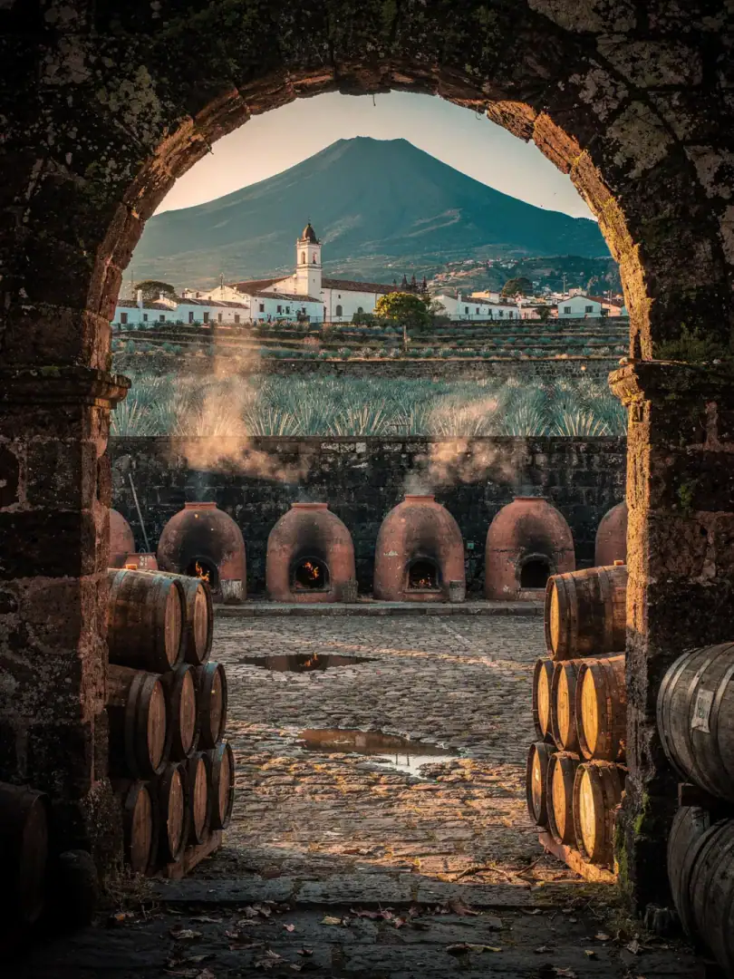 Region & Geschichte in der Region Valle de Tequila