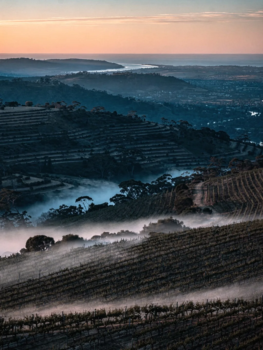 Klima in der Region Adelaide Hills