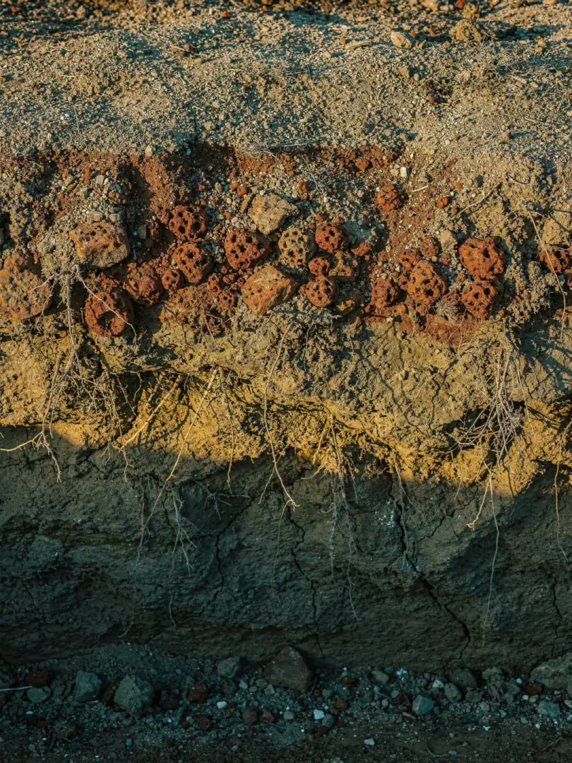 Soils in the region Adelaide Hills