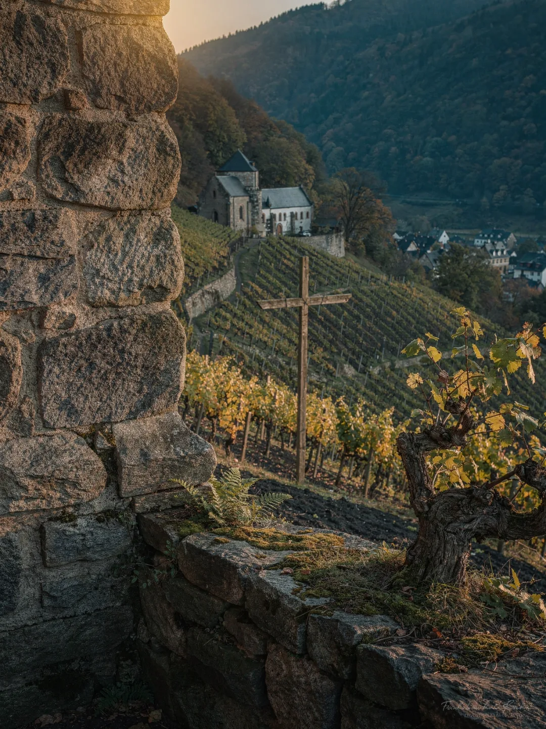 Region & Geschichte in der Region Ahr