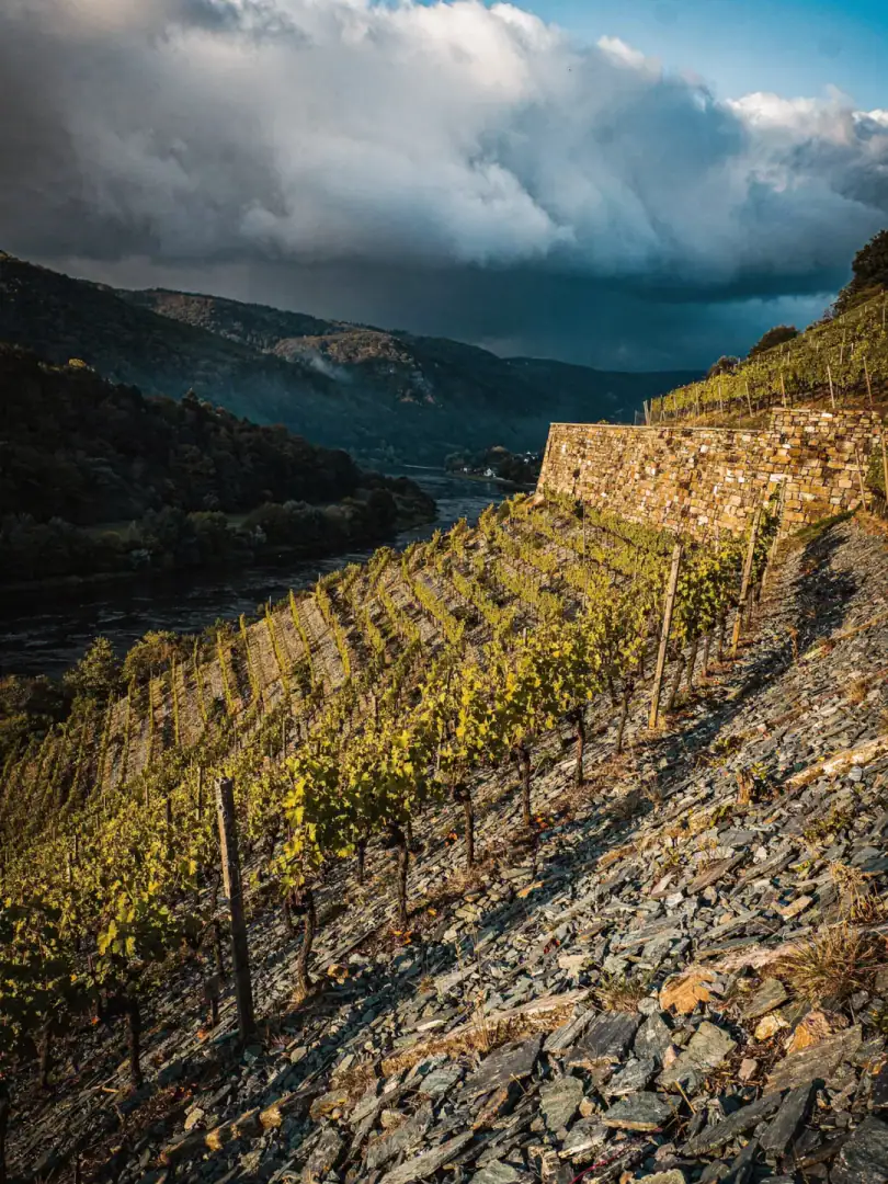 Climate in the region Ahr