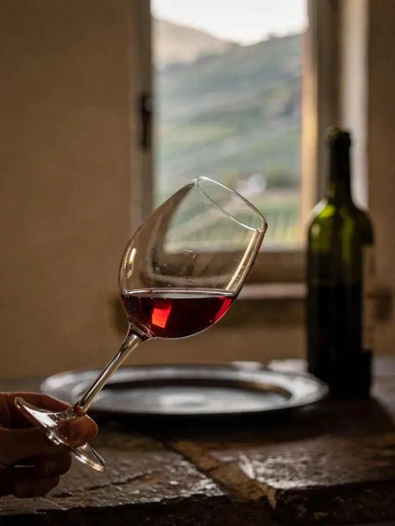 Tasting in the region Ahr