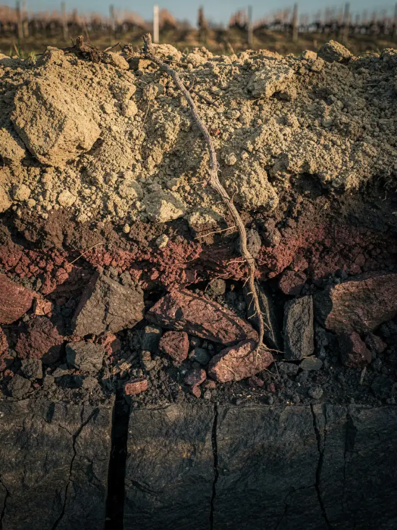 Soils in the region Baden