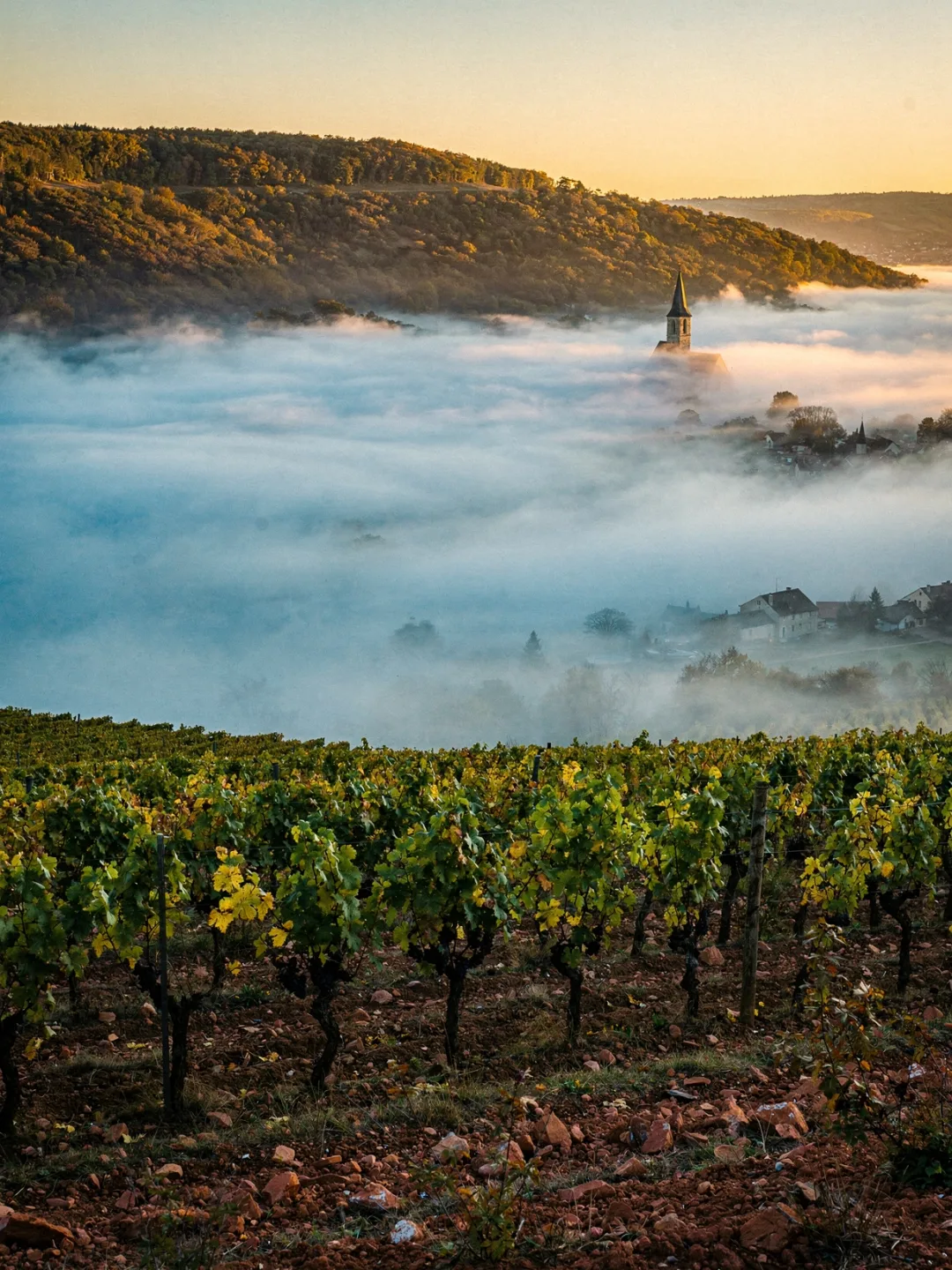 Klima in der Region Beaujolais