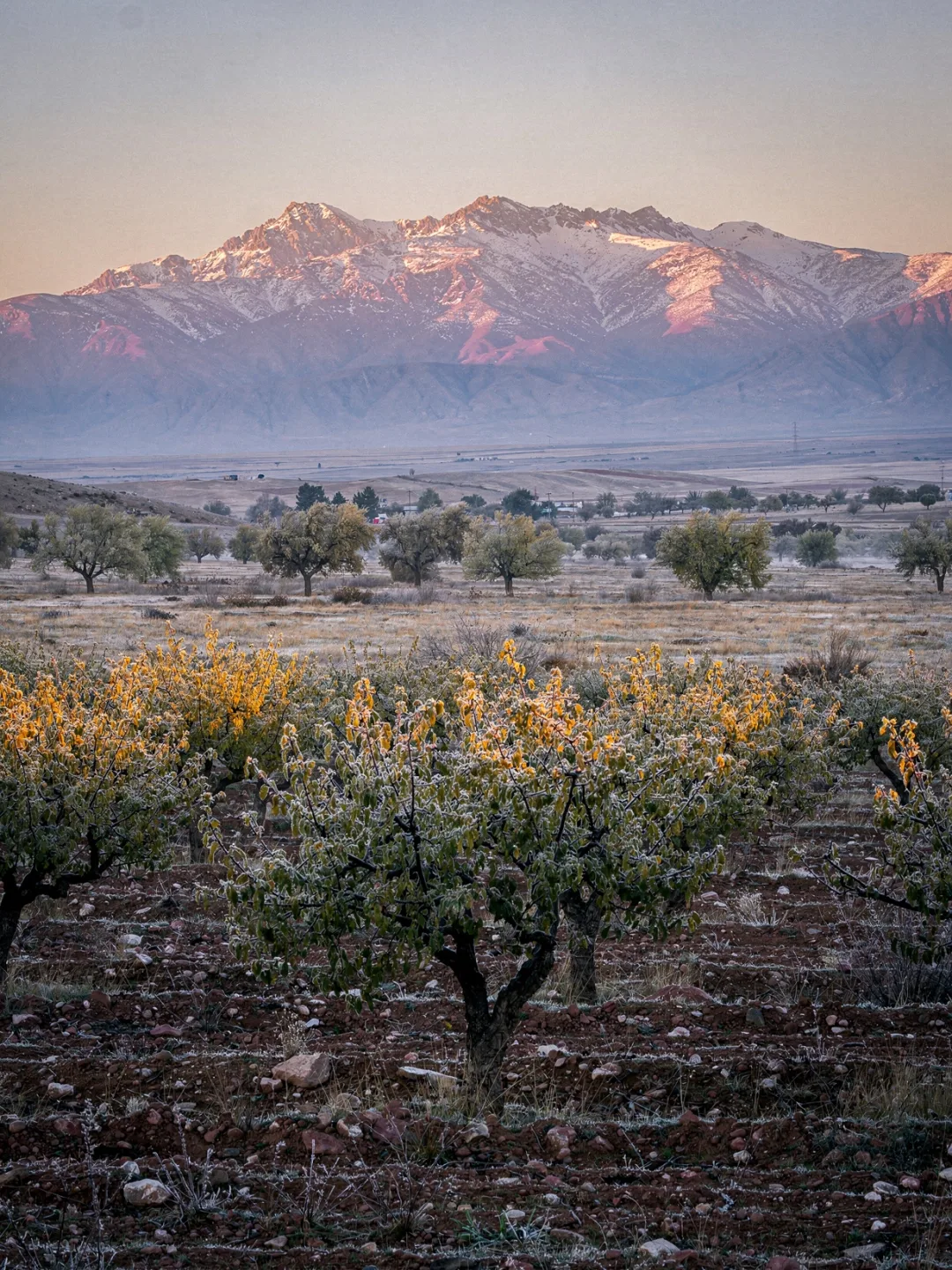 Klima in der Region Bekaa-Tal