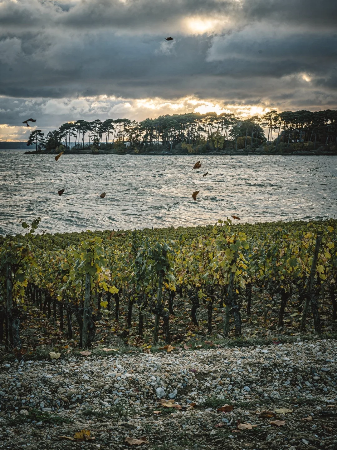 Klima in der Region Bordeaux