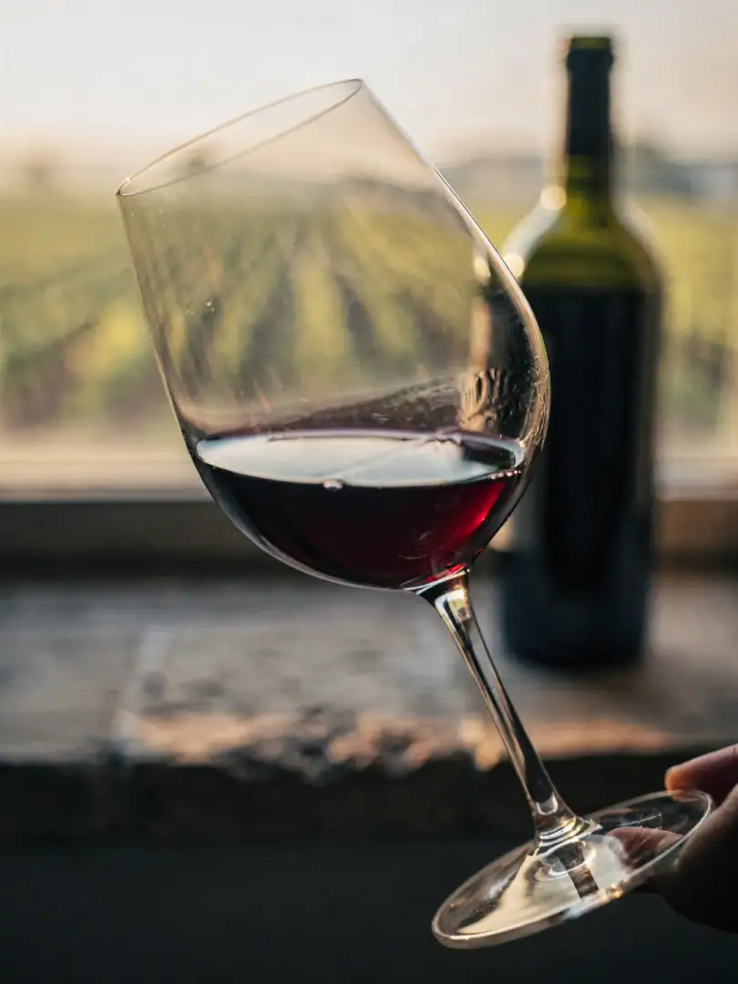 Tasting in the region Bordeaux