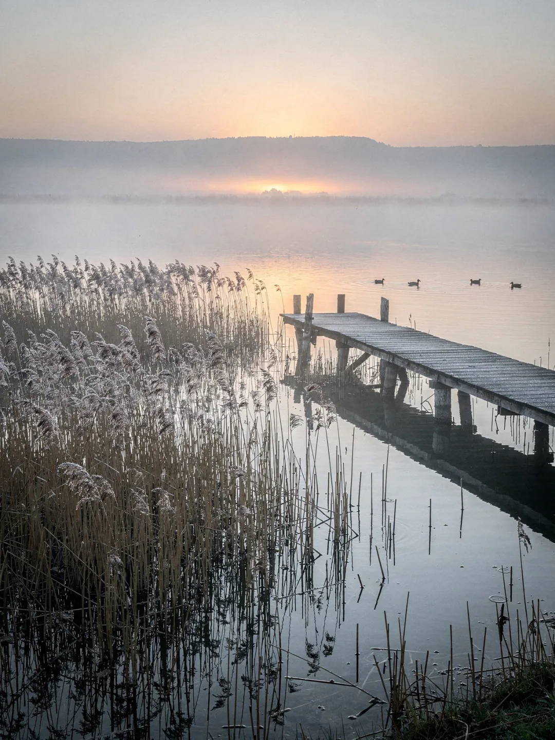 Klima in der Region Burgenland
