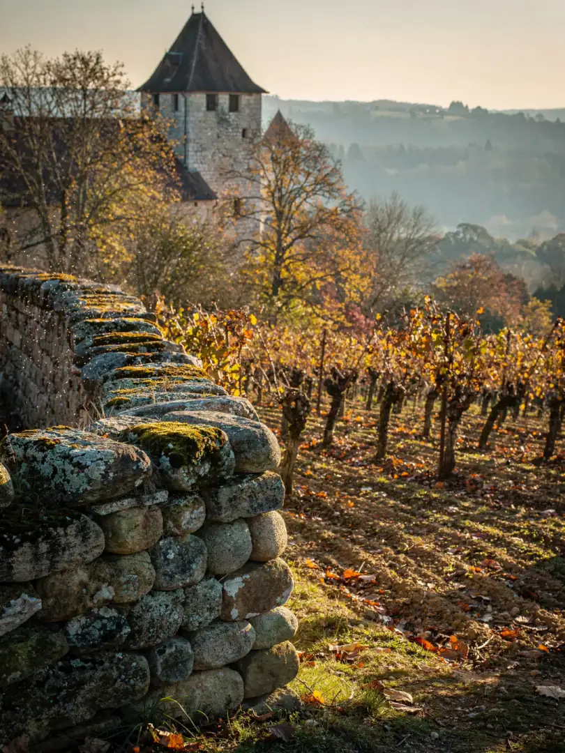Region & History in the region Burgundy