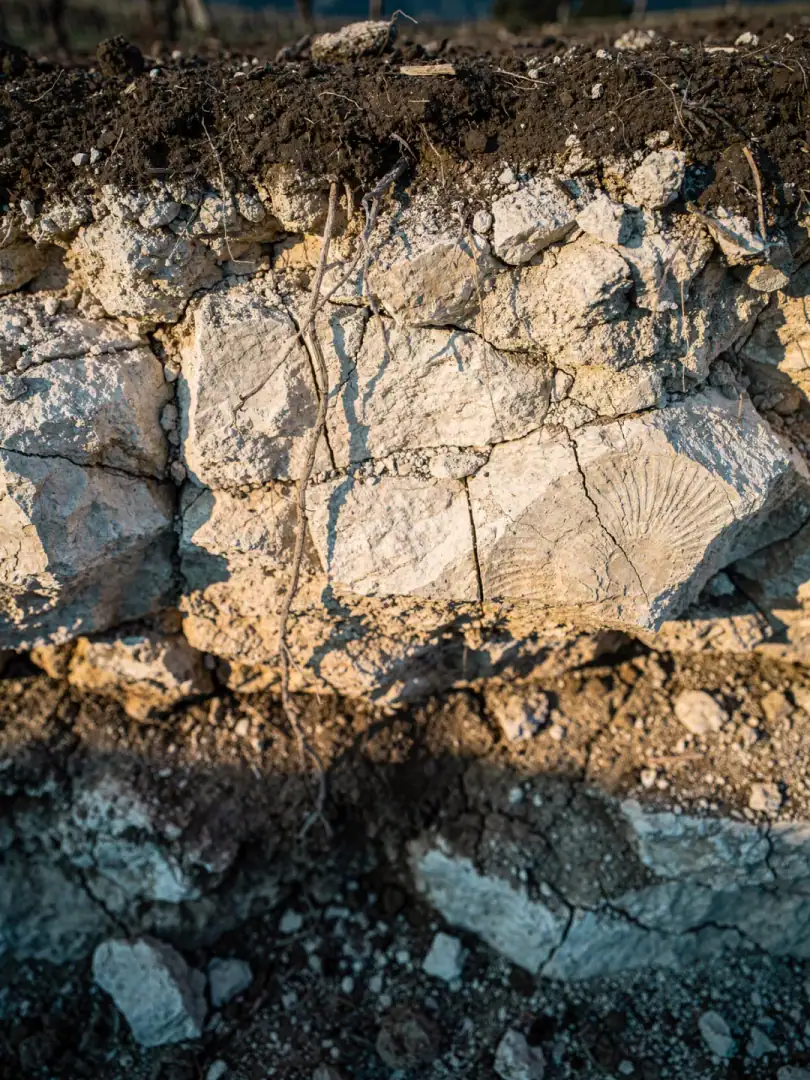 Soils in the region Central Coast