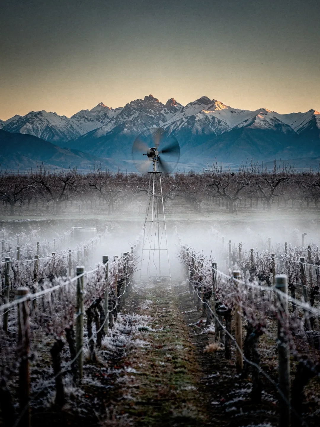 Klima in der Region Central Otago