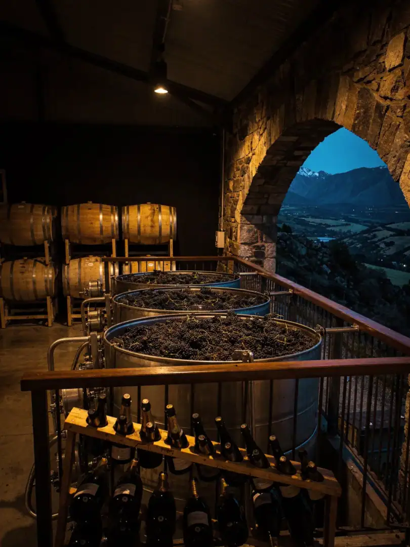 Winemaking in the region Central Otago